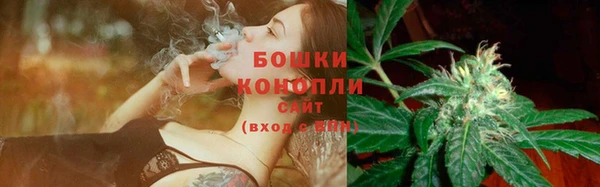 героин Покачи