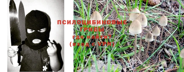 экстази Липки