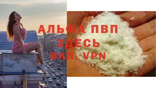 ECSTASY Покров