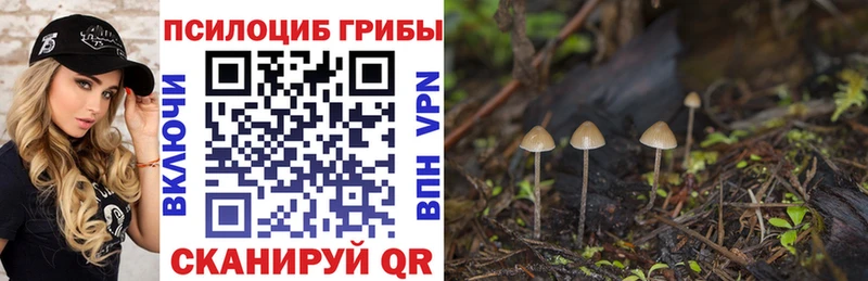 Галлюциногенные грибы прущие грибы  купить наркотик  Чаплыгин 